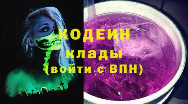 мдпв Верея